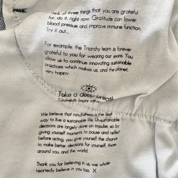 Triarchy Stirrup Jeans - Light Wash Size 24 - Picture 5 of 5